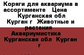 Коряги для аквариума в ассортименте › Цена ­ 200 - Курганская обл., Курган г. Животные и растения » Аквариумистика   . Курганская обл.,Курган г.